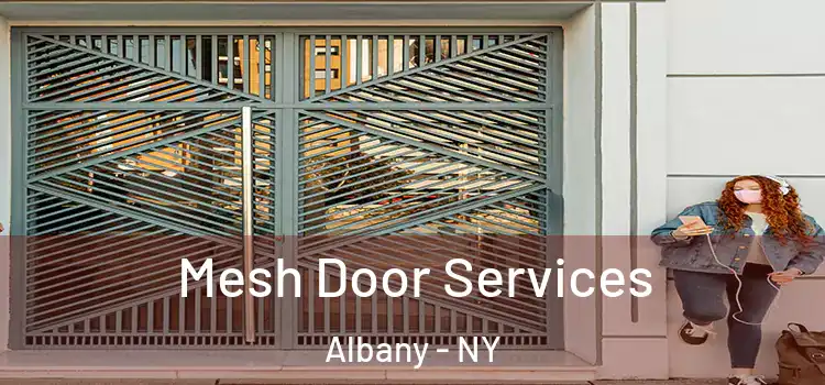  Mesh Door Services Albany - NY