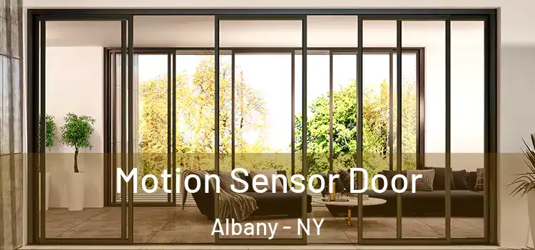  Motion Sensor Door Albany - NY